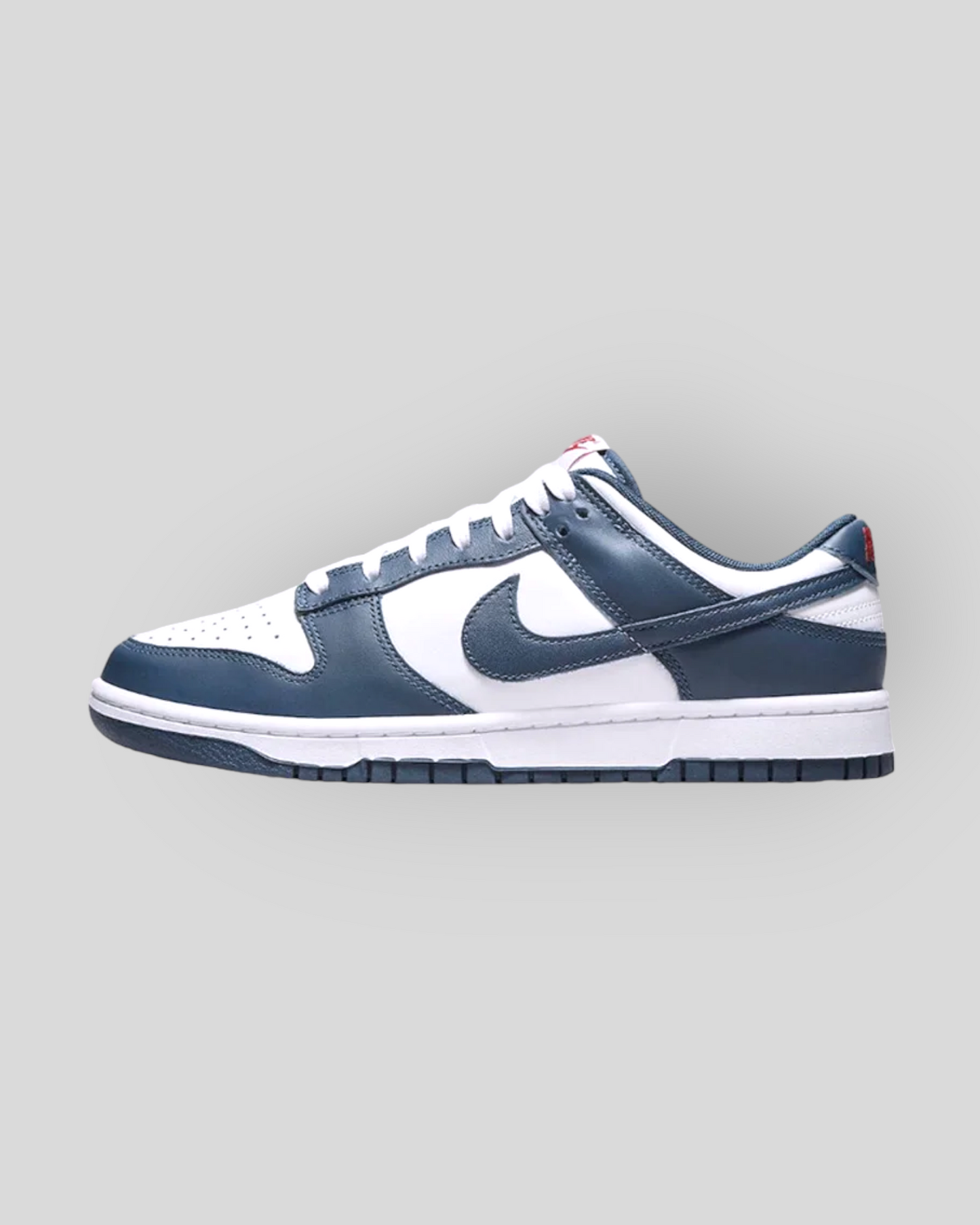 Nike Dunk Low Retro, Gray White, Navy Blue Shoes